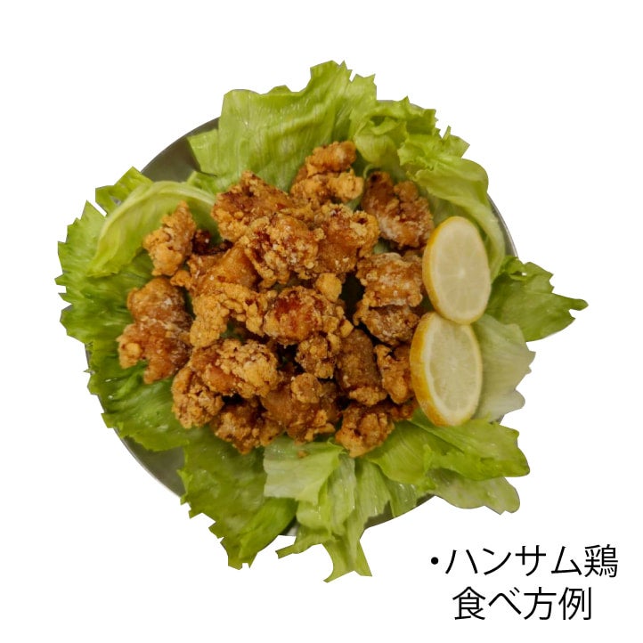 ハンサム鶏 1袋 400g（味付鶏肉） | ハンサム侍 公式オンラインストア